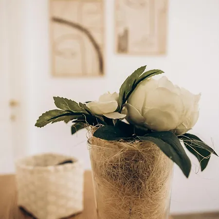Maison d'hôtes Dalila Apulian *